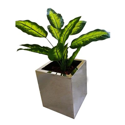 Chậu cây trang trí bằng thép không gỉ
