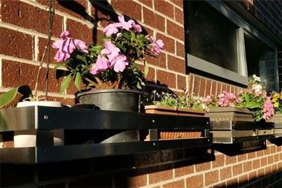 Kệ treo tường inox